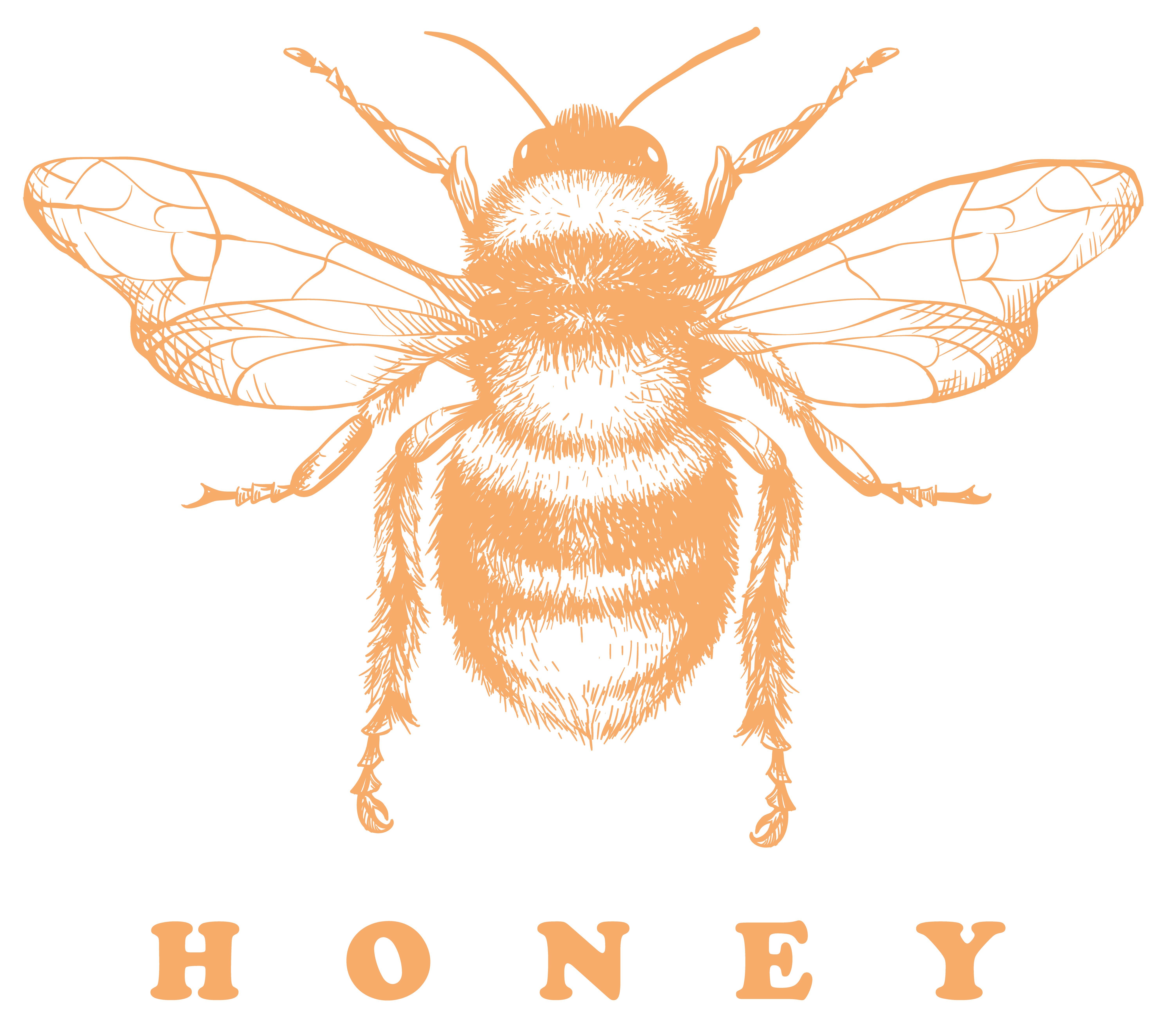 2020-06-20-summer-19.png