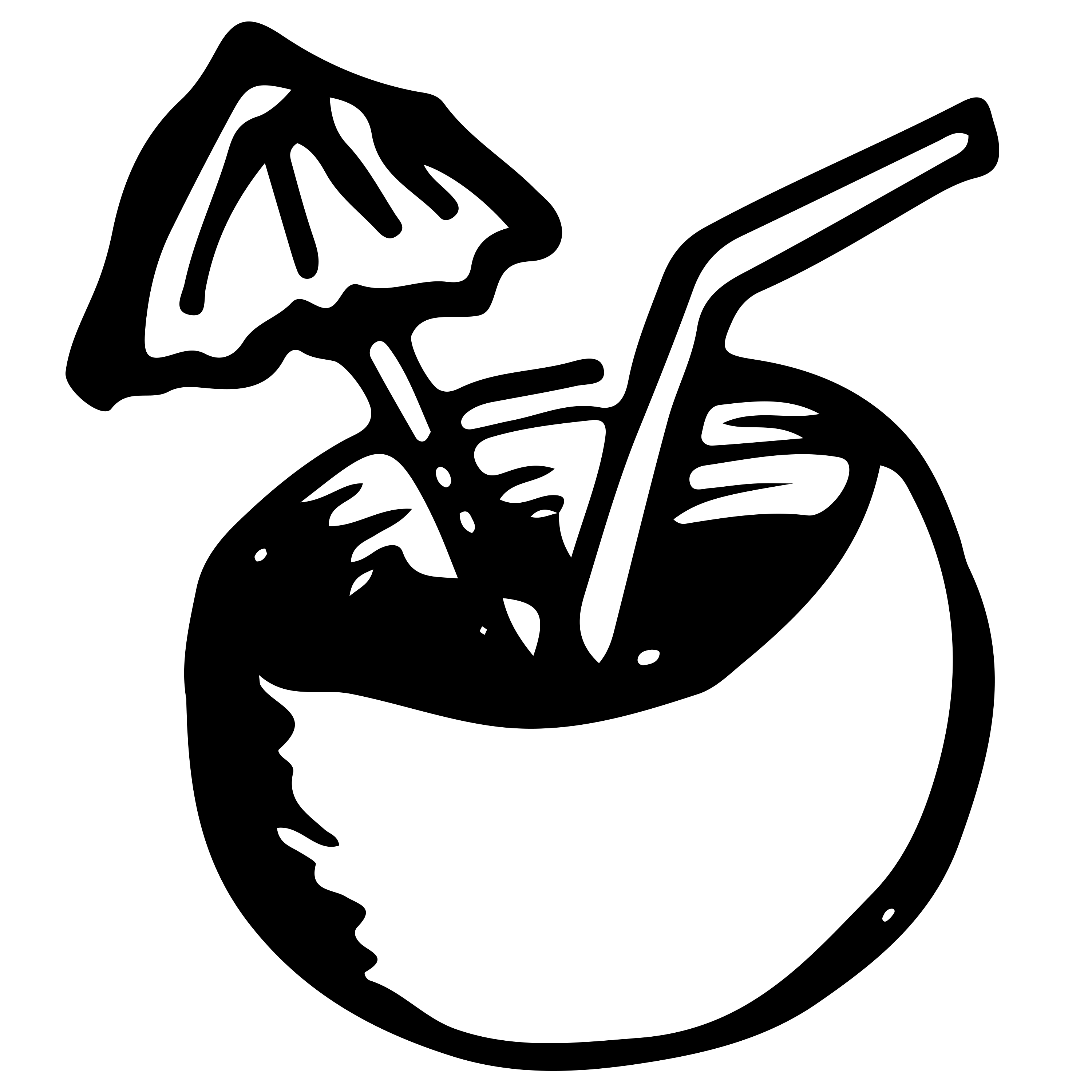 kokos.png