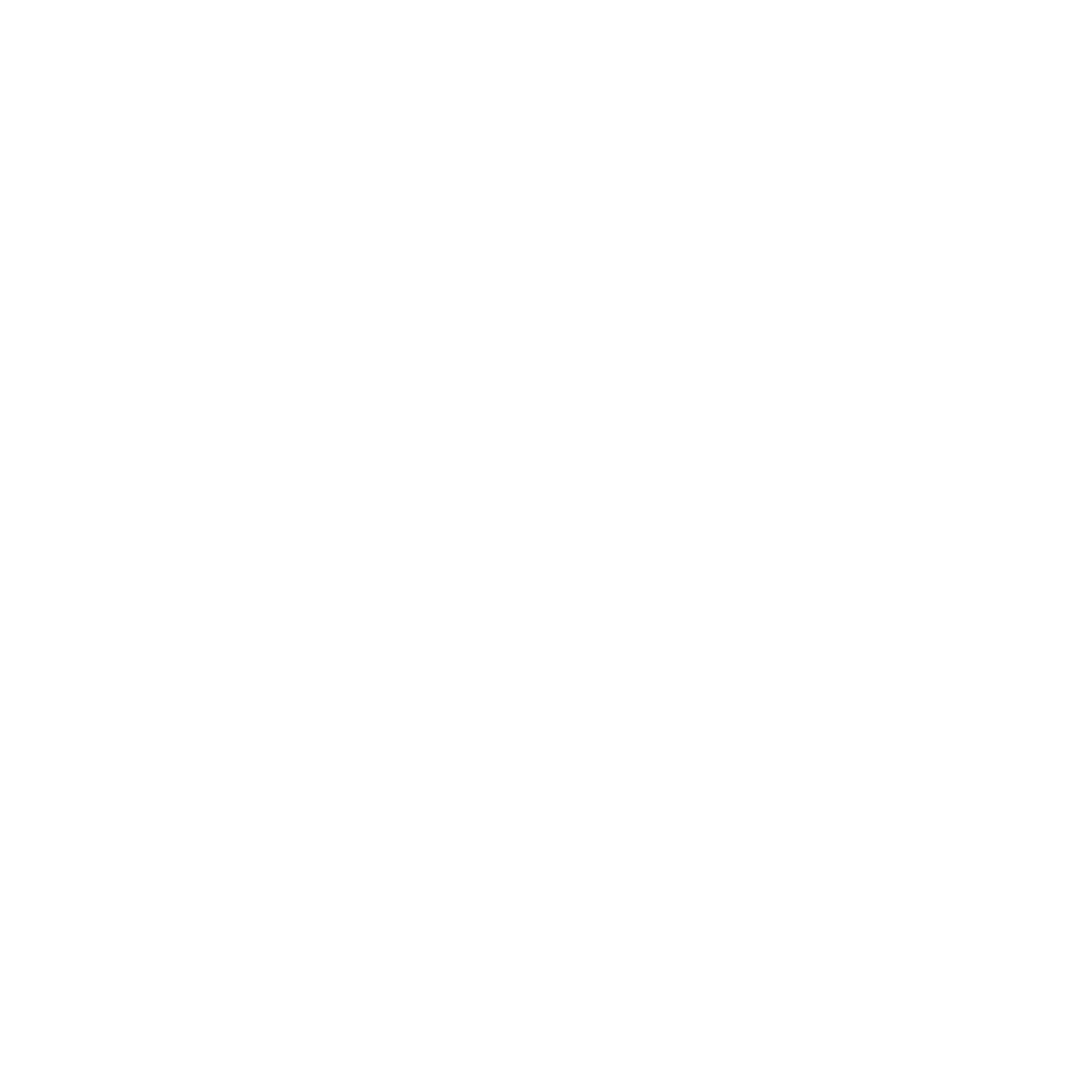 koszulka_gentelman_white.png