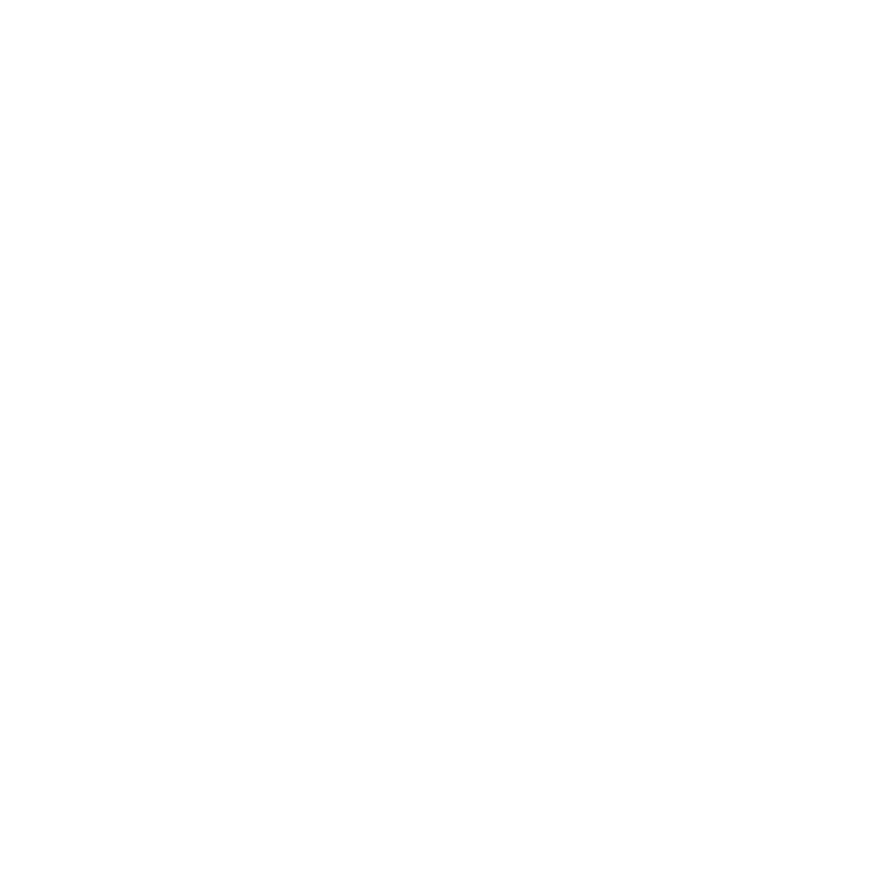 palma_white.png
