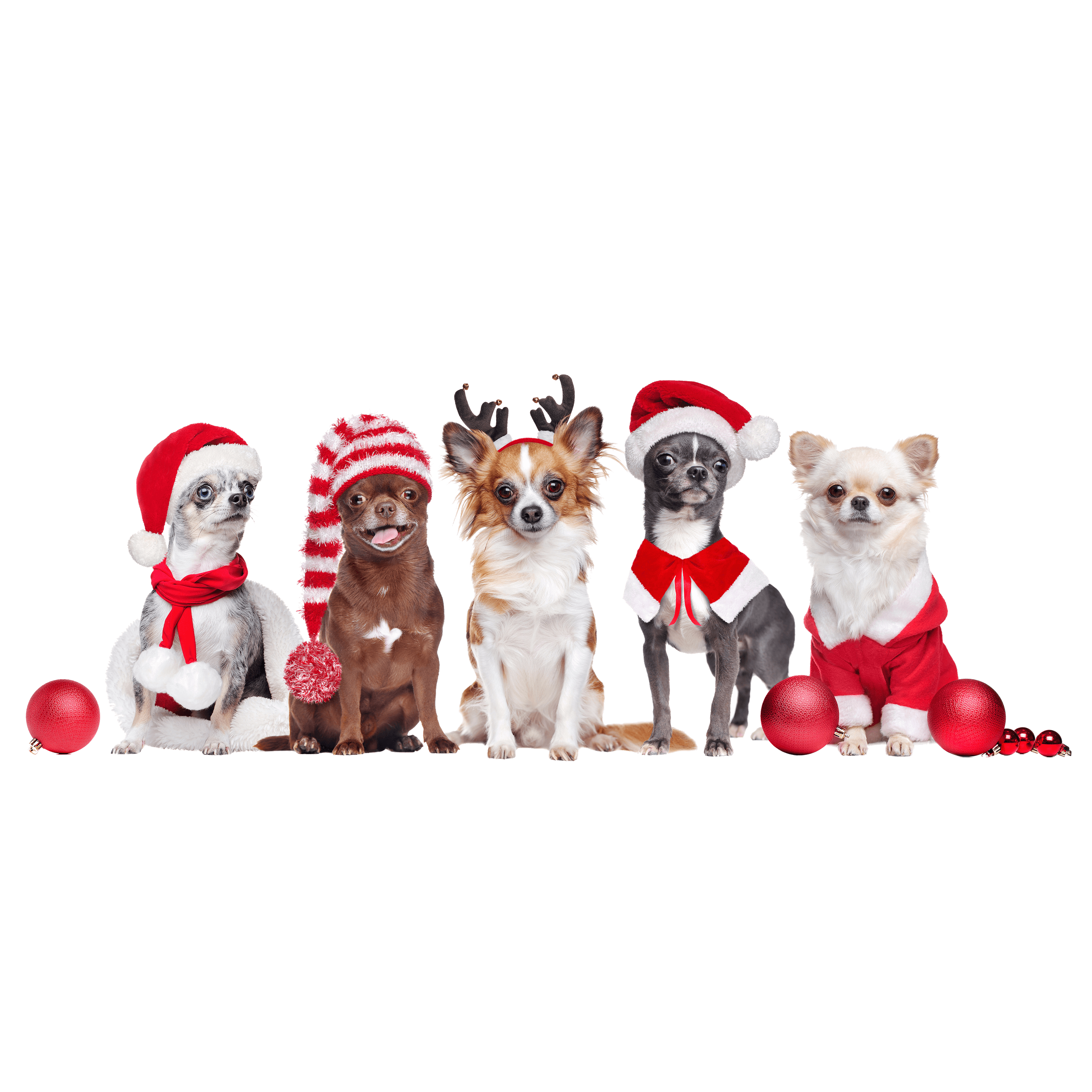 xmas-00002.png