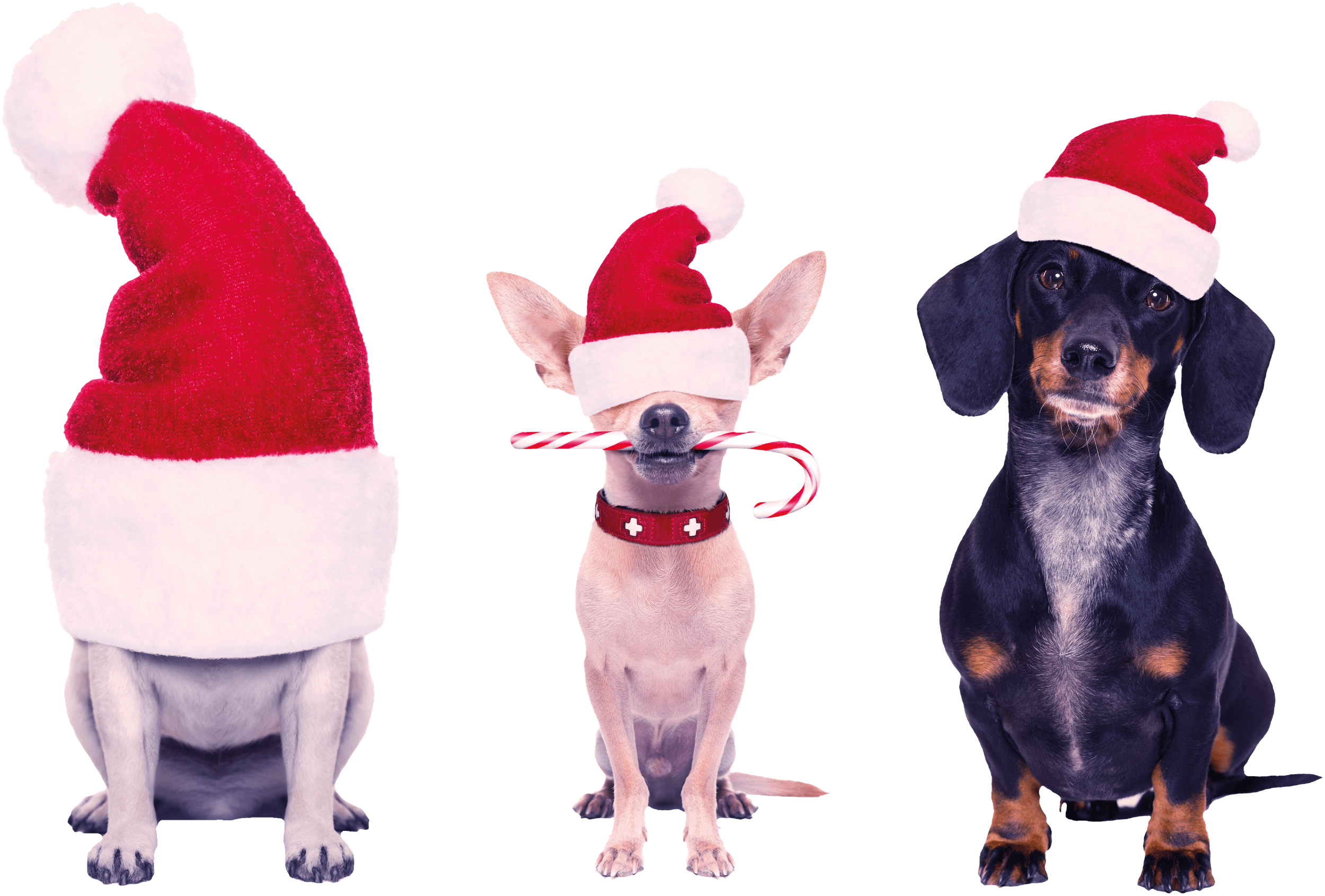 xmas-00007.png